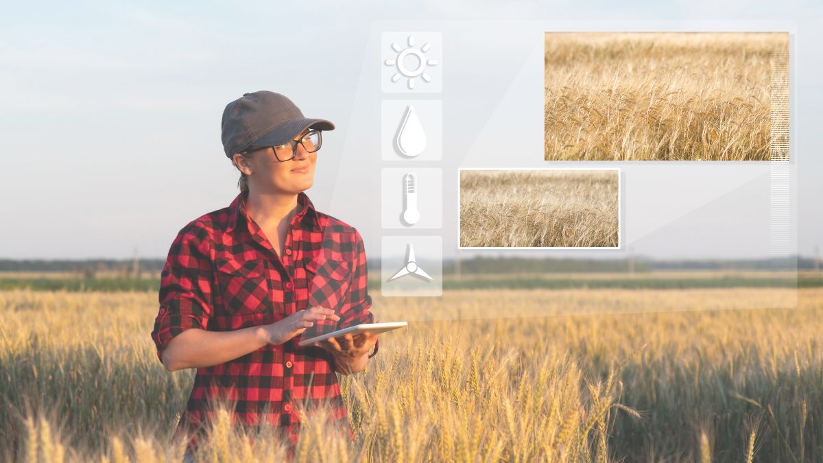 donna, campo, agricoltura, imprenditrice, lavoro, colture