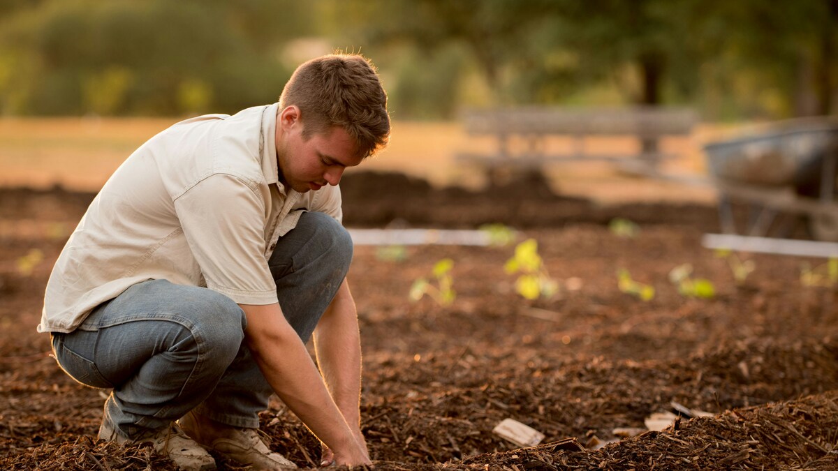 giovani lavoro agricoltura competenze futuro