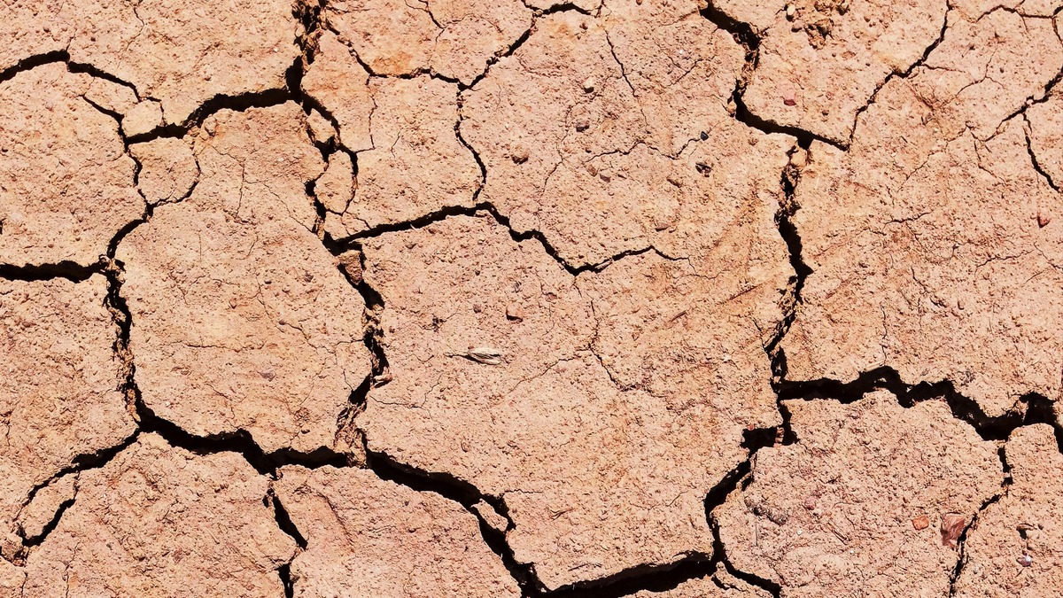 terra screpolata siccità danno territorio
