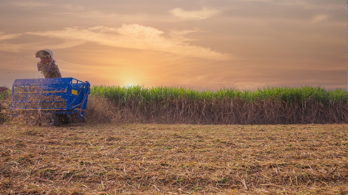 sicurezza salute lavoro agricoltura operai campo