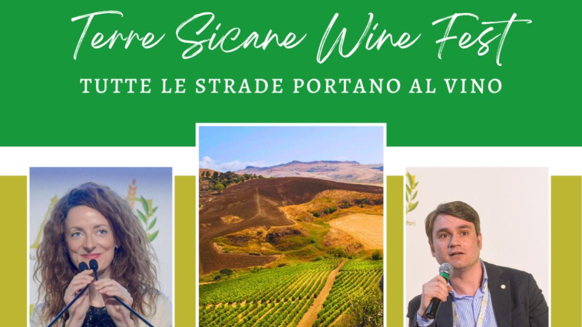 vigneto Sicilia vino produttori locali Terre Sicane
