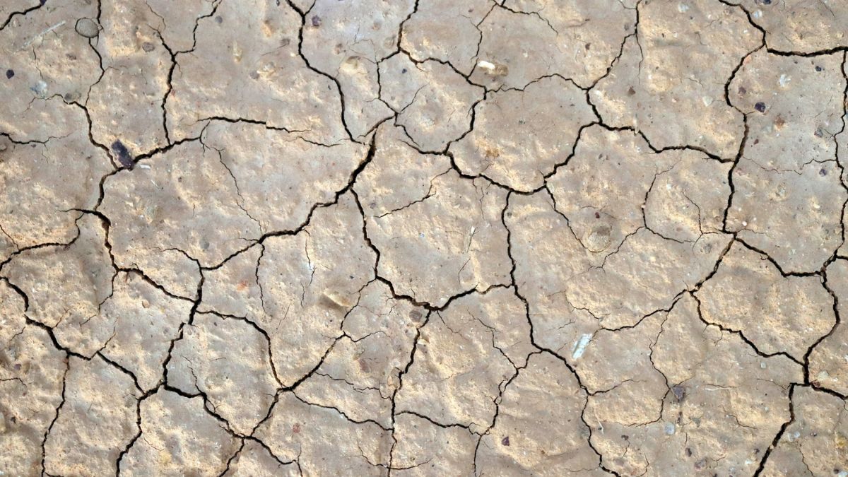 siccità suolo secco agricoltura cambiamento climatico