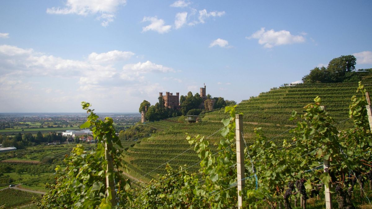 Giornata Mondiale Montagna AIC agricoltura eroica aree
