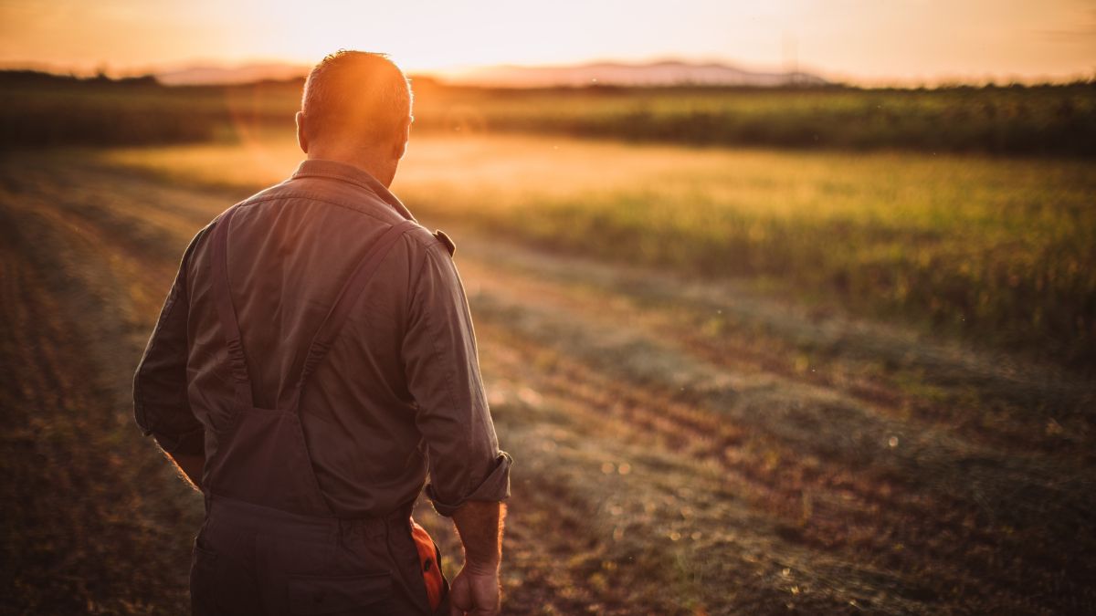 AIC Giornata della Terra suoli degradati rigenerazione