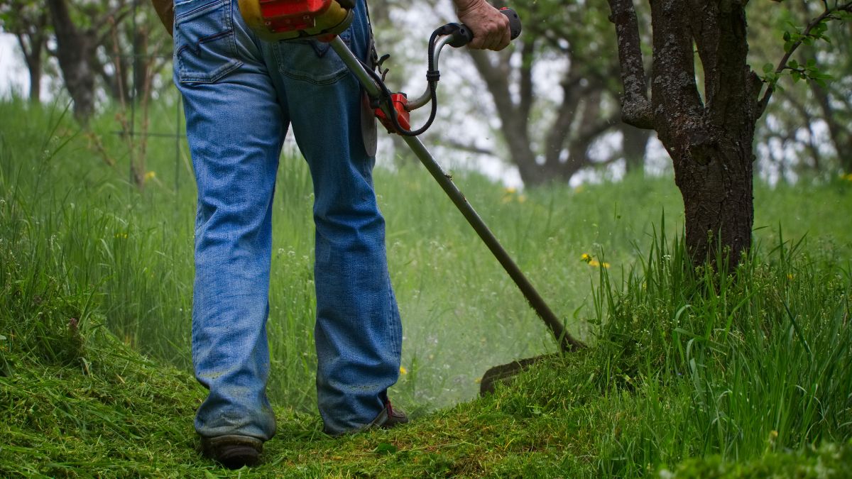 AIC lavoro agricolo malattie professionali sicurezza