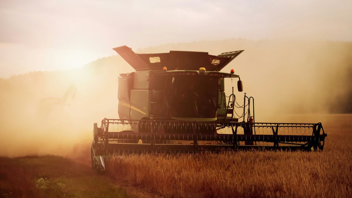 lavoratori migranti agricoltura diritti regolarizzazione