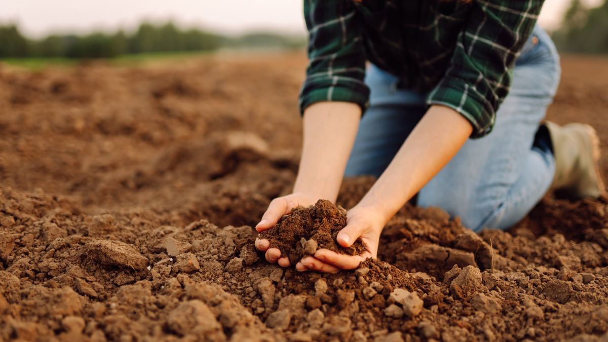 congresso AIC Openpolis report agricoltura sostenibilità