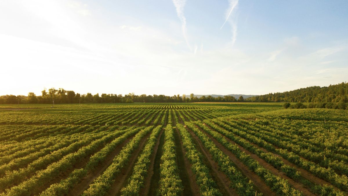 G7 agricoltura aree interne Calabria spopolamento strategia