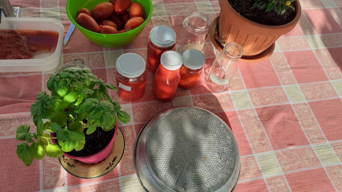 conserva passata pomodoro Belmonte Calabro ricetta