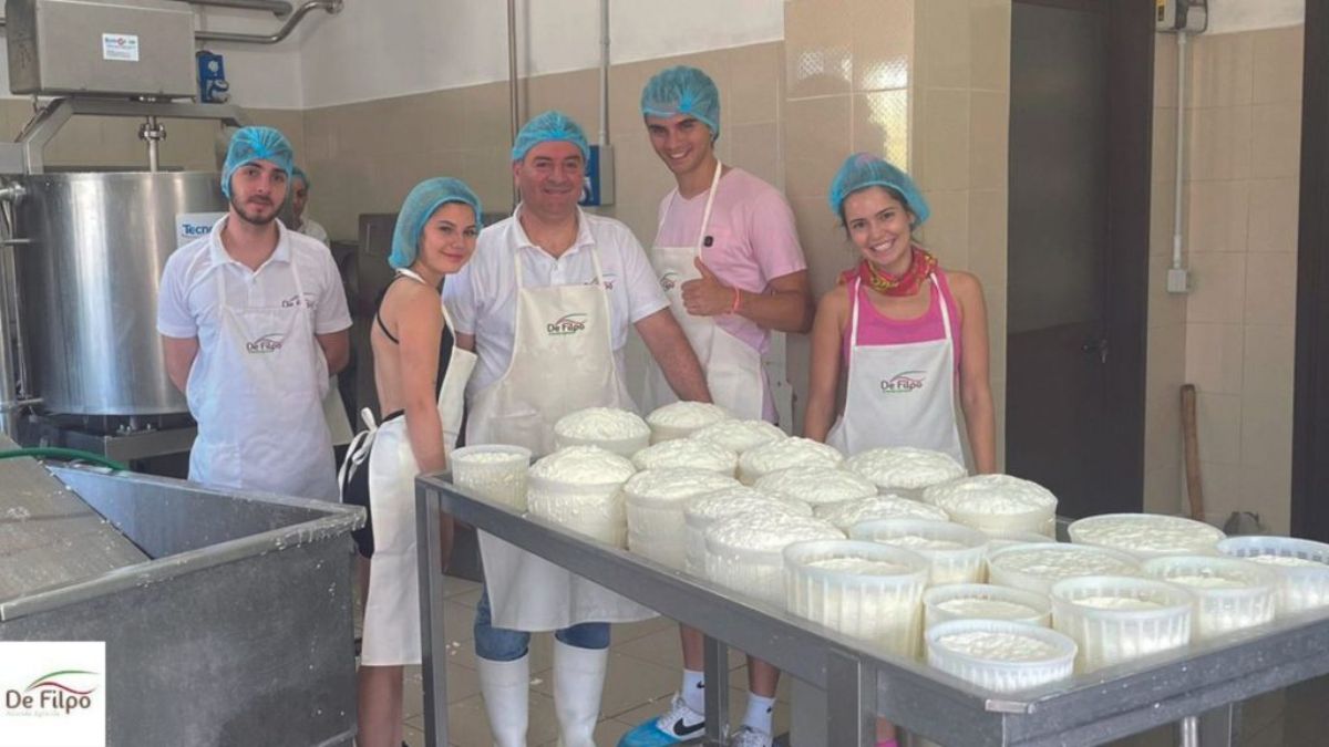 Lavorazione formaggio a latte crudo, De Filpo Pollino