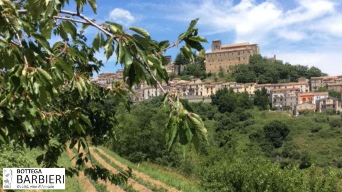 Panorama di Altomonte, borgo medievale Cosenza Calabria