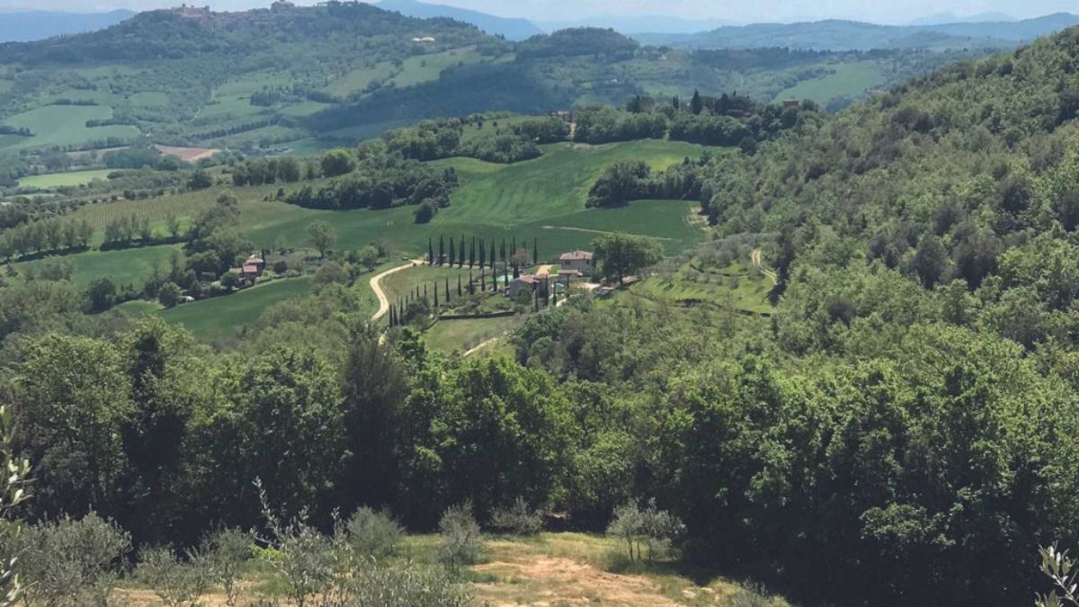 Passo della Palomba, casale e uliveti a Todi Umbria