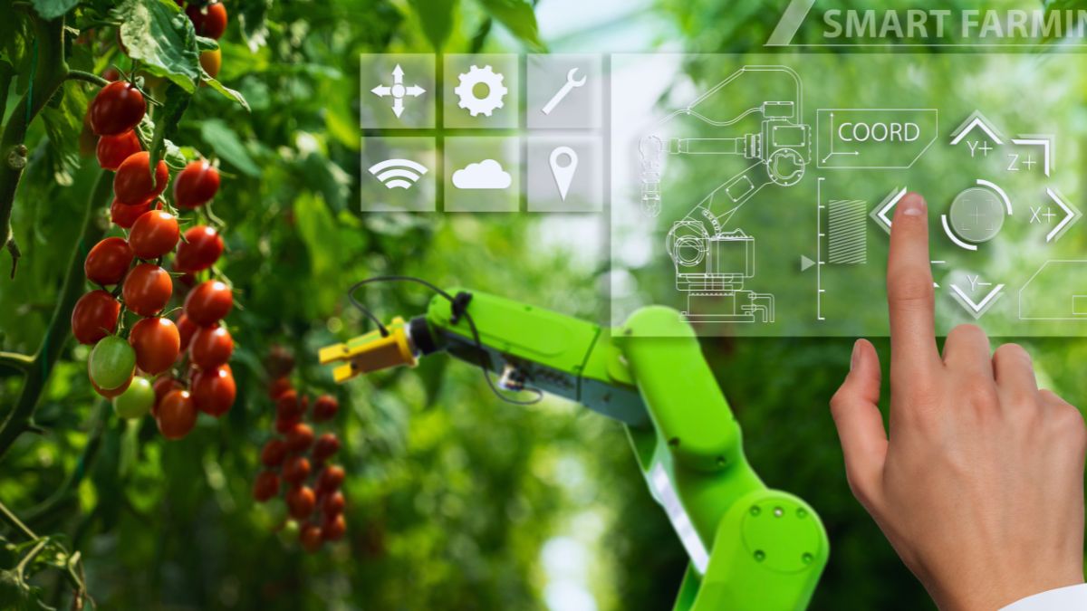 Sostenibilità agricola, economia circolare