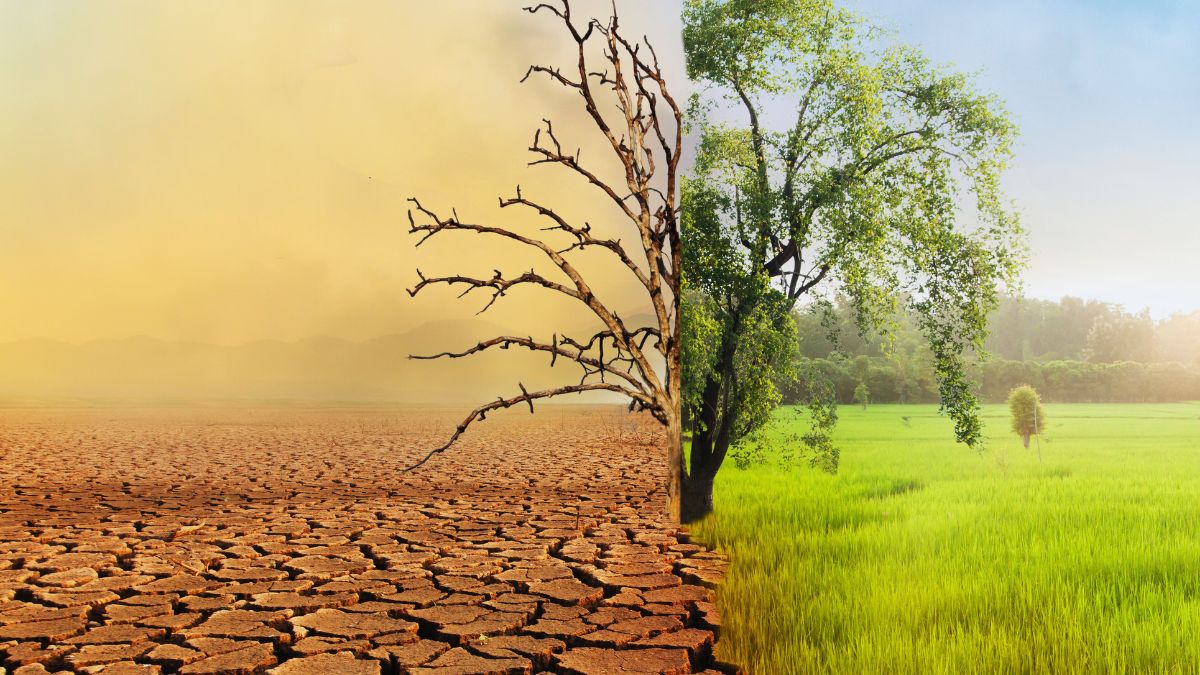 Agricoltura, rischi climatici, assicurazione agricola