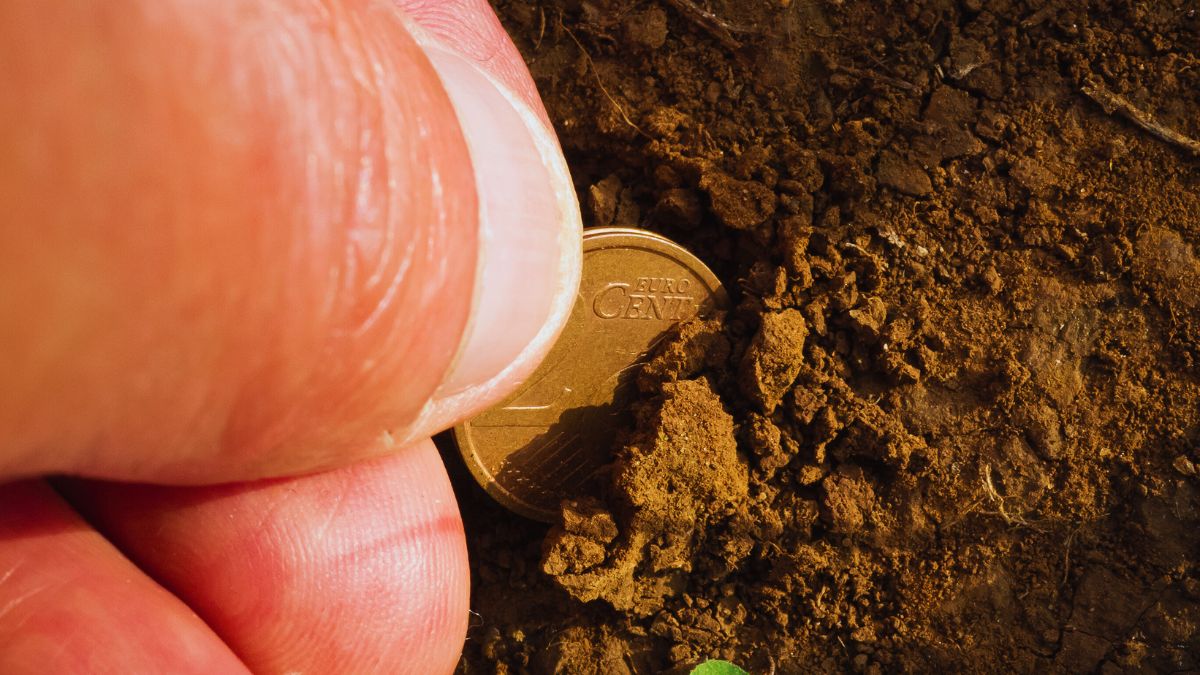 Transizione verde digitale, credito d'imposta agricolo