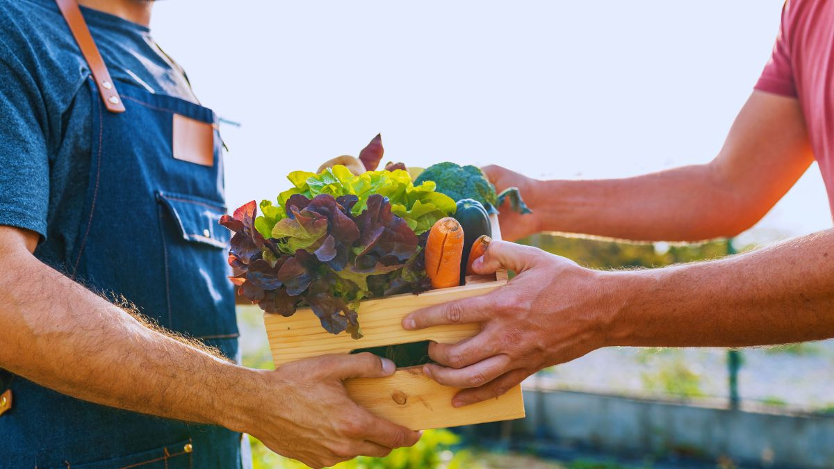 Trend agrifood, sostenibilità, innovazione agricola