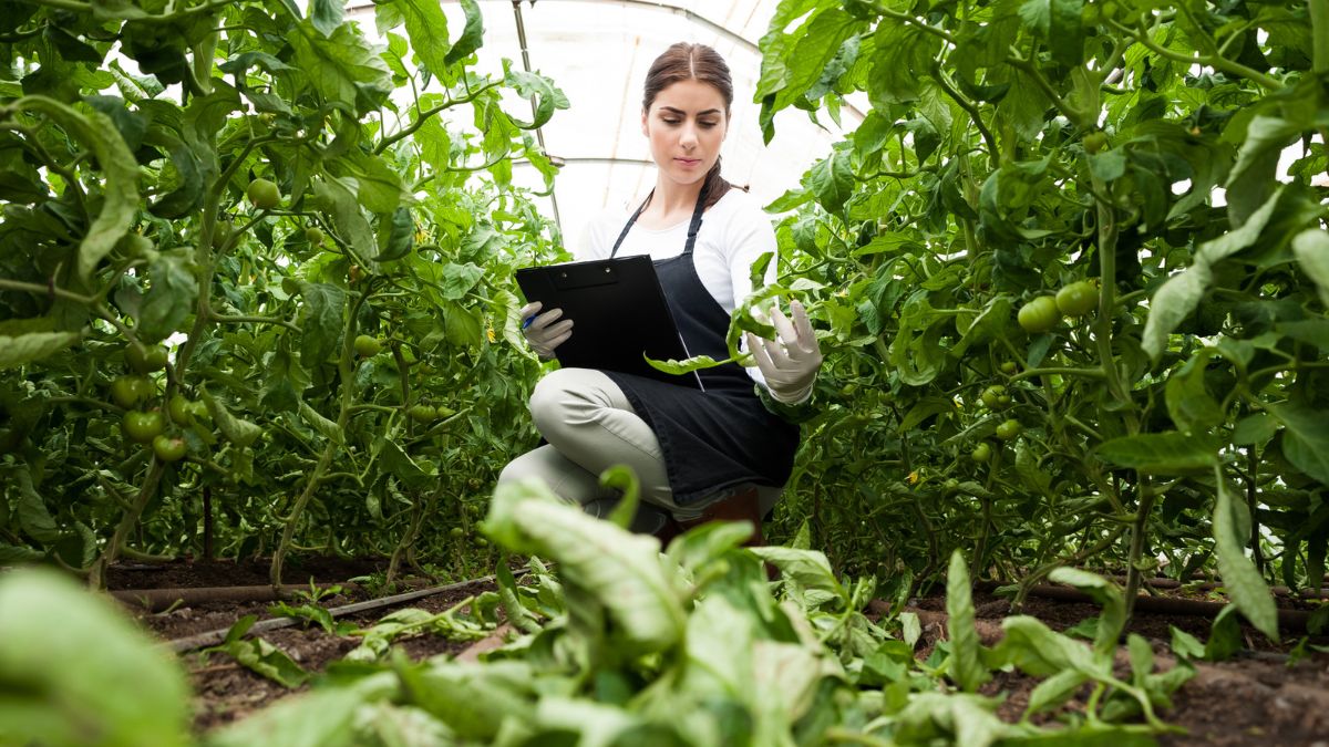 Donne in agricoltura, imprenditoria femminile, parità