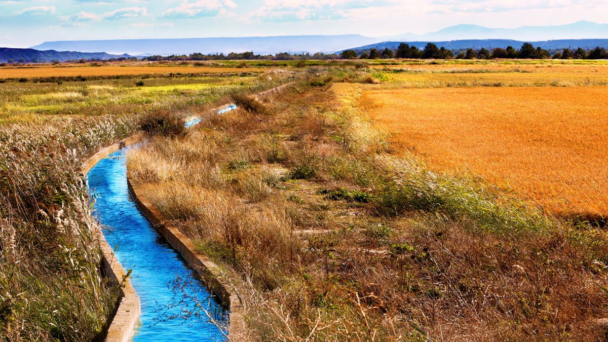 irrigazione agricoltura risorsa idrica siccità Italia Po