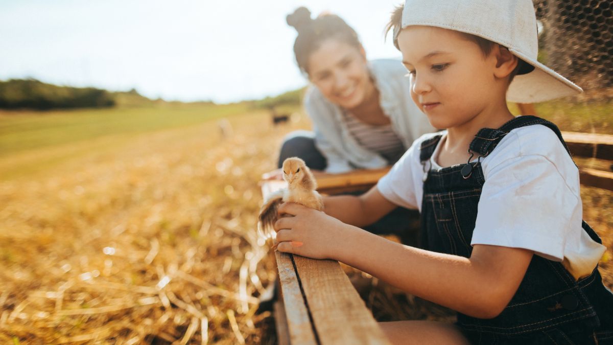 assegno unico universale INPS famiglia figli ISEE