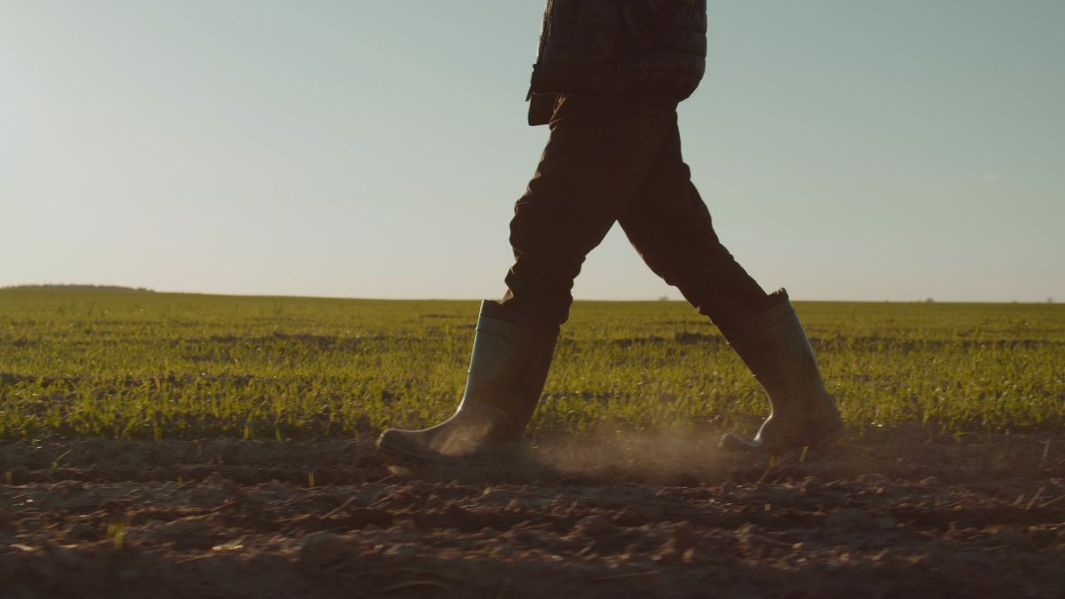 disoccupazione agricola operai INPS INPAL domanda