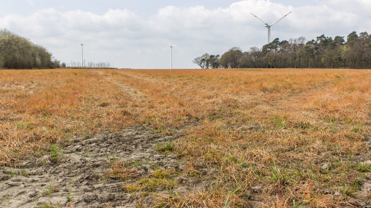 glifosato erbicida campo agricolo Commissione UE rinnovo