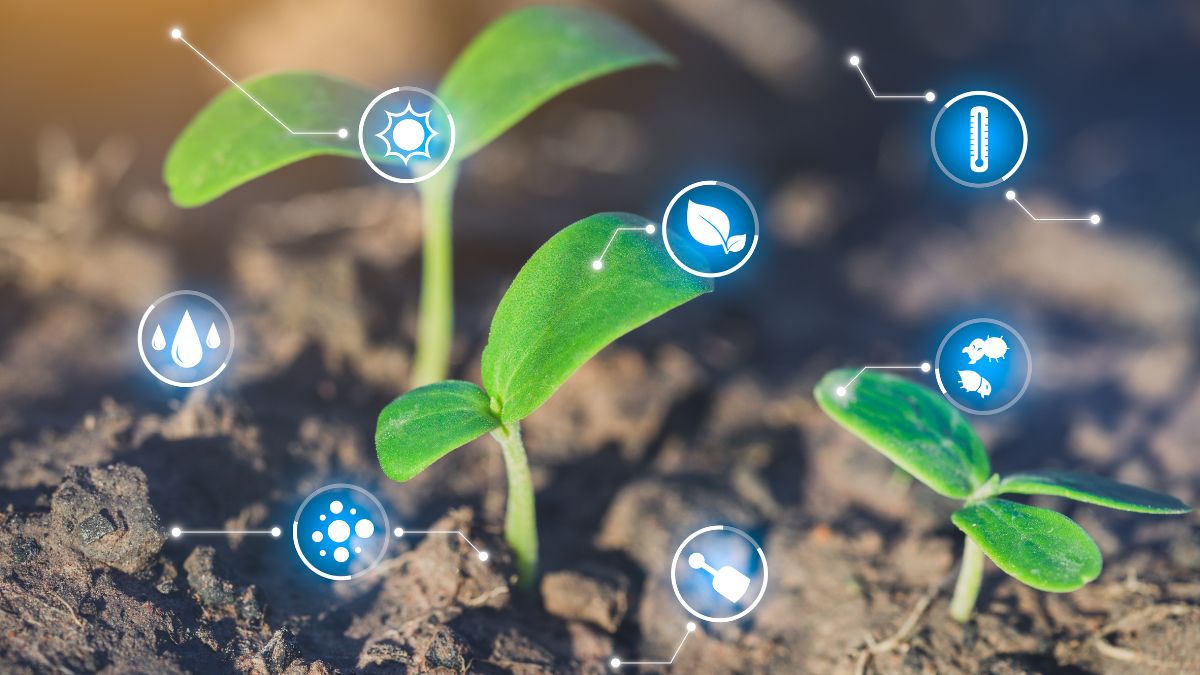 innovazione agricoltura ISMEA macchinari 4.0 contributo PMI