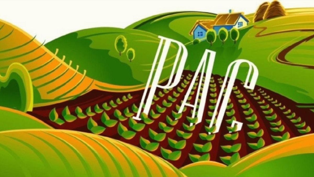 PAC 2023 domande aiuti proroga MASAF primo pilastro