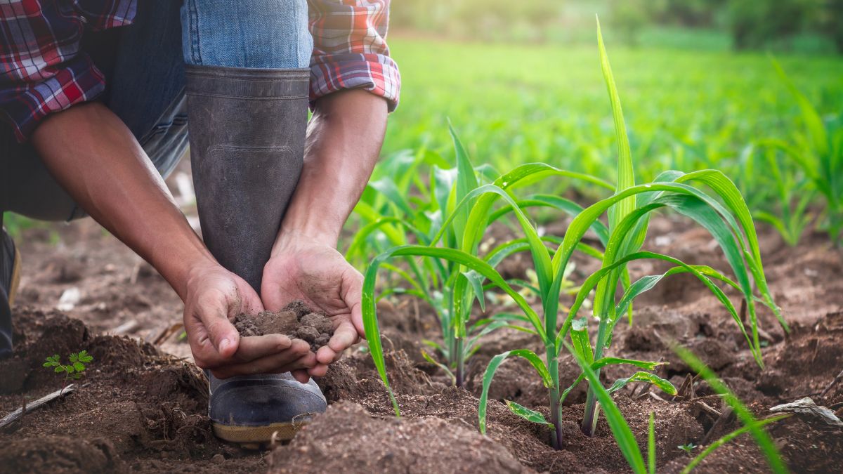 giovani agricoltori terreno ISMEA mutuo imprenditoria