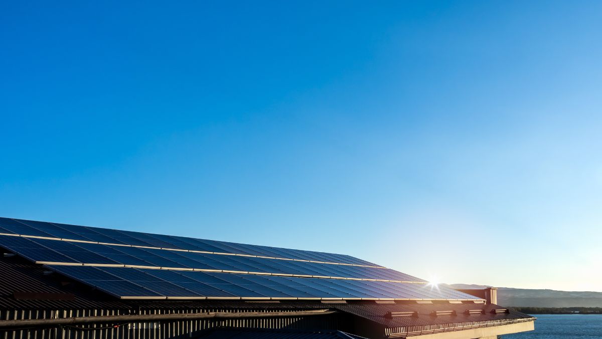 fotovoltaico tetti agricoli PNRR pannelli solari