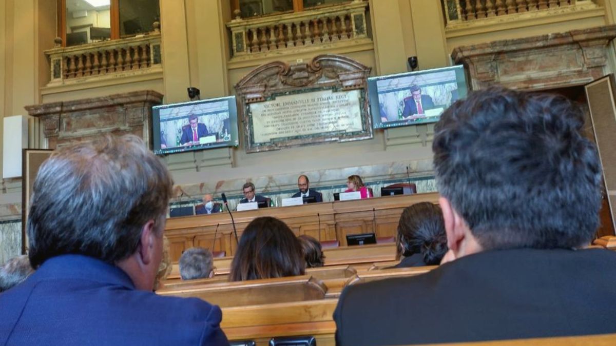 riforma patronati welfare prossimità CNEL INPAL digitale
