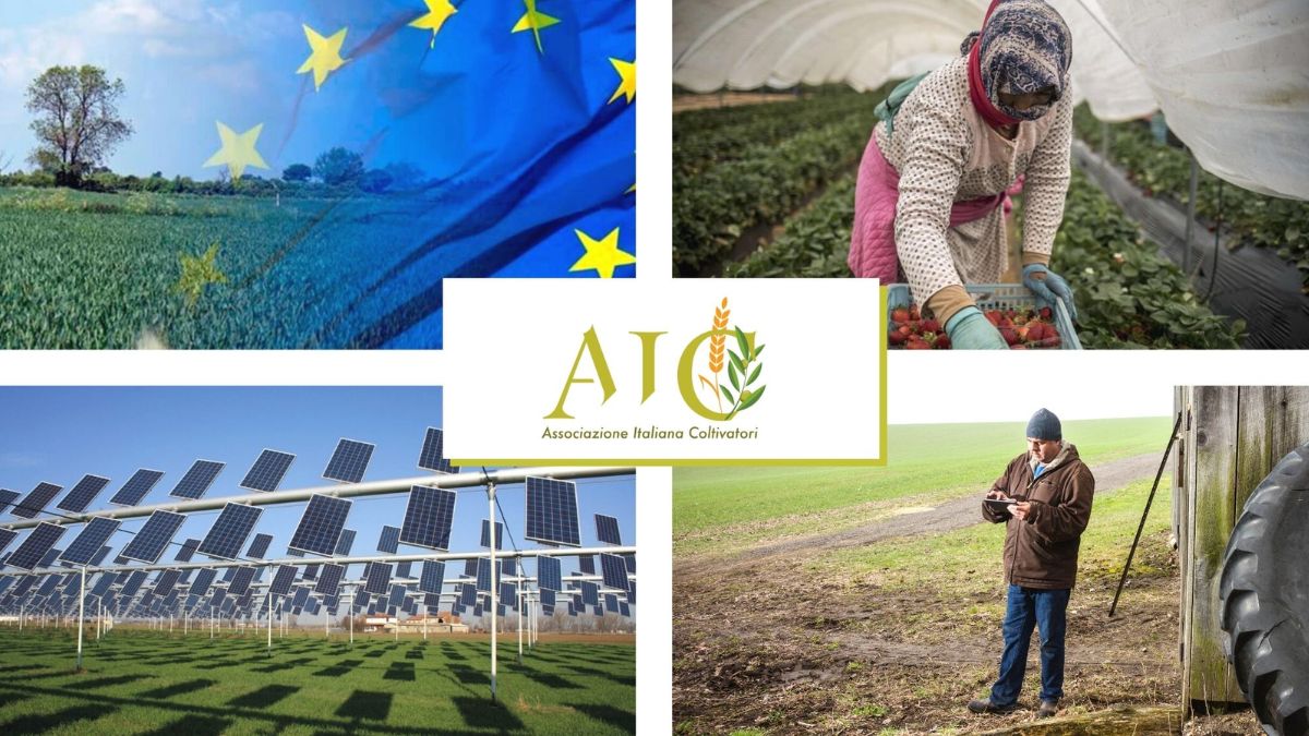 PAC 2023-2027 PSN tavolo partenariato MIPAAF aree interne