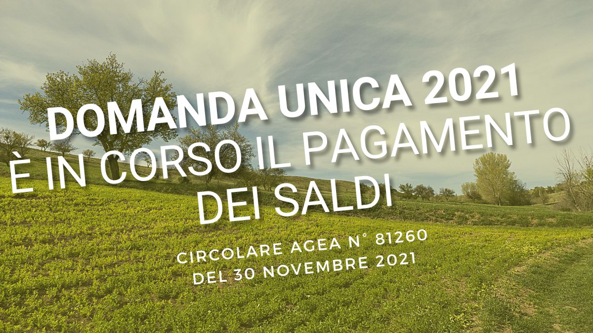 domanda unica AGEA saldi PAC titoli greening pagamenti