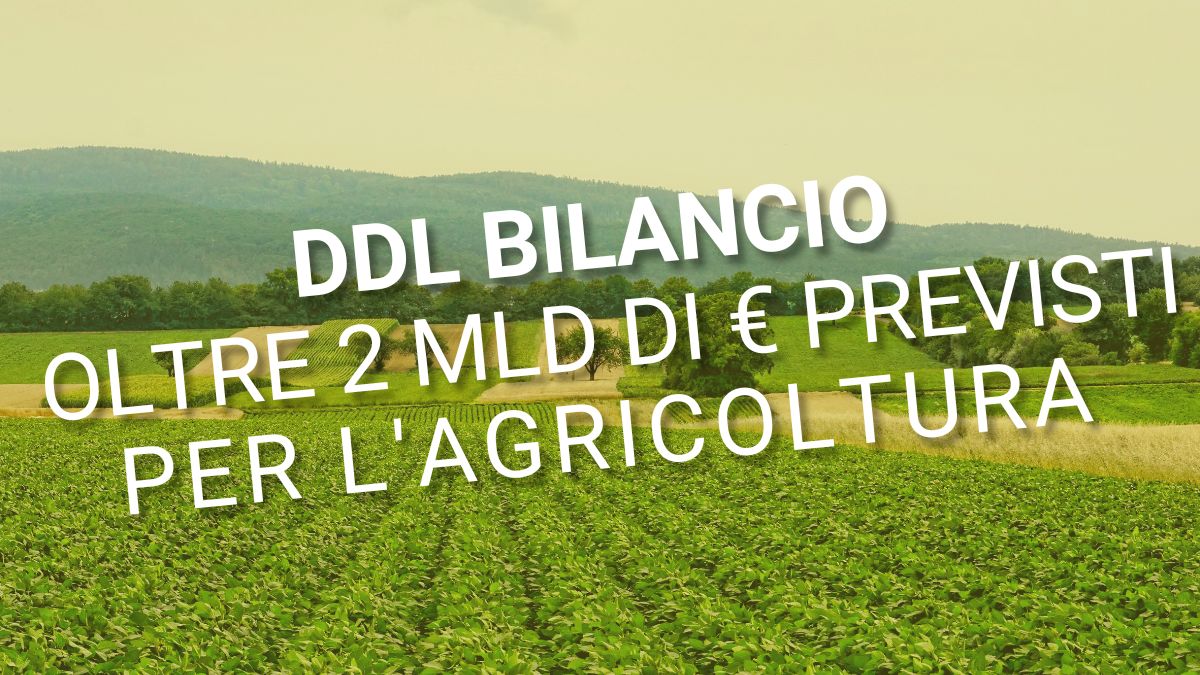 agri bilancio 2022 ddl
