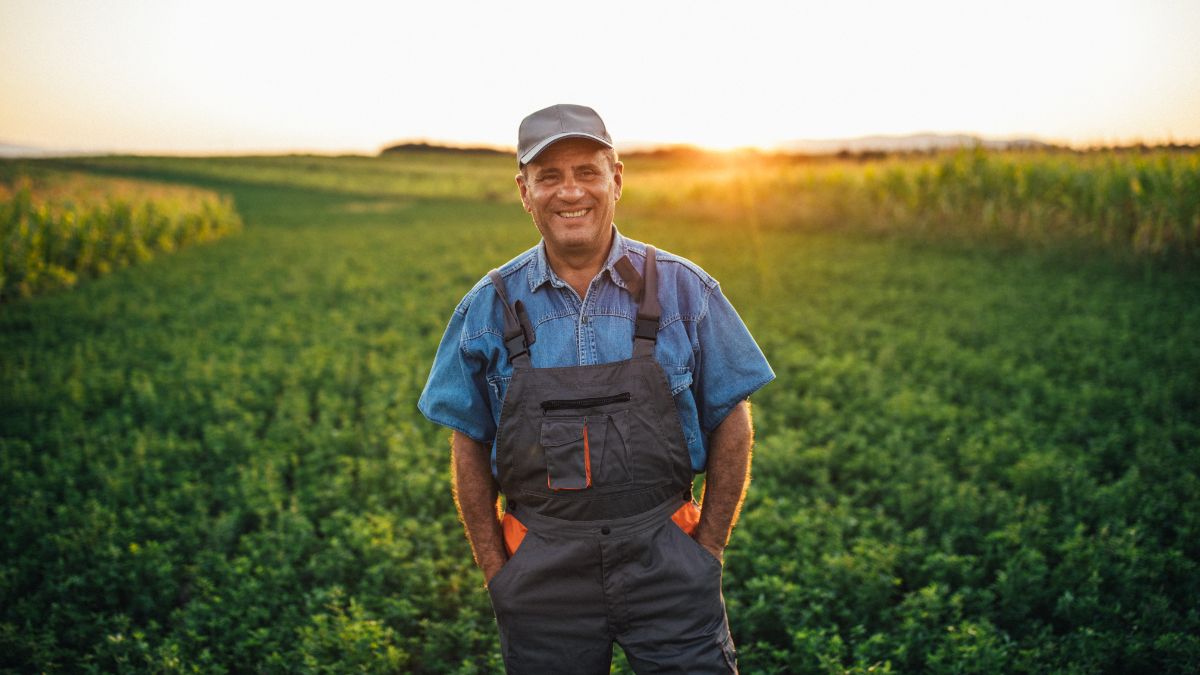 terreni agricoli ISMEA giovani asta IV lotto ettari