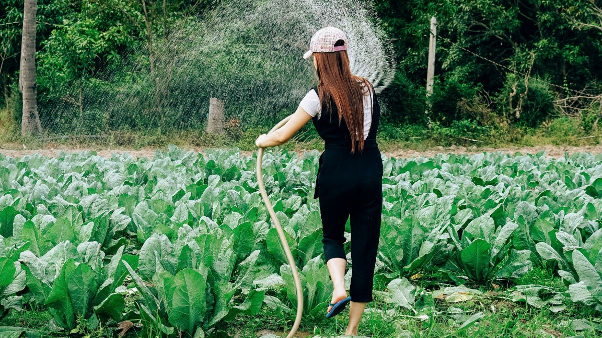donne agricoltrici sostenibilità ISTAT concorso innovazione