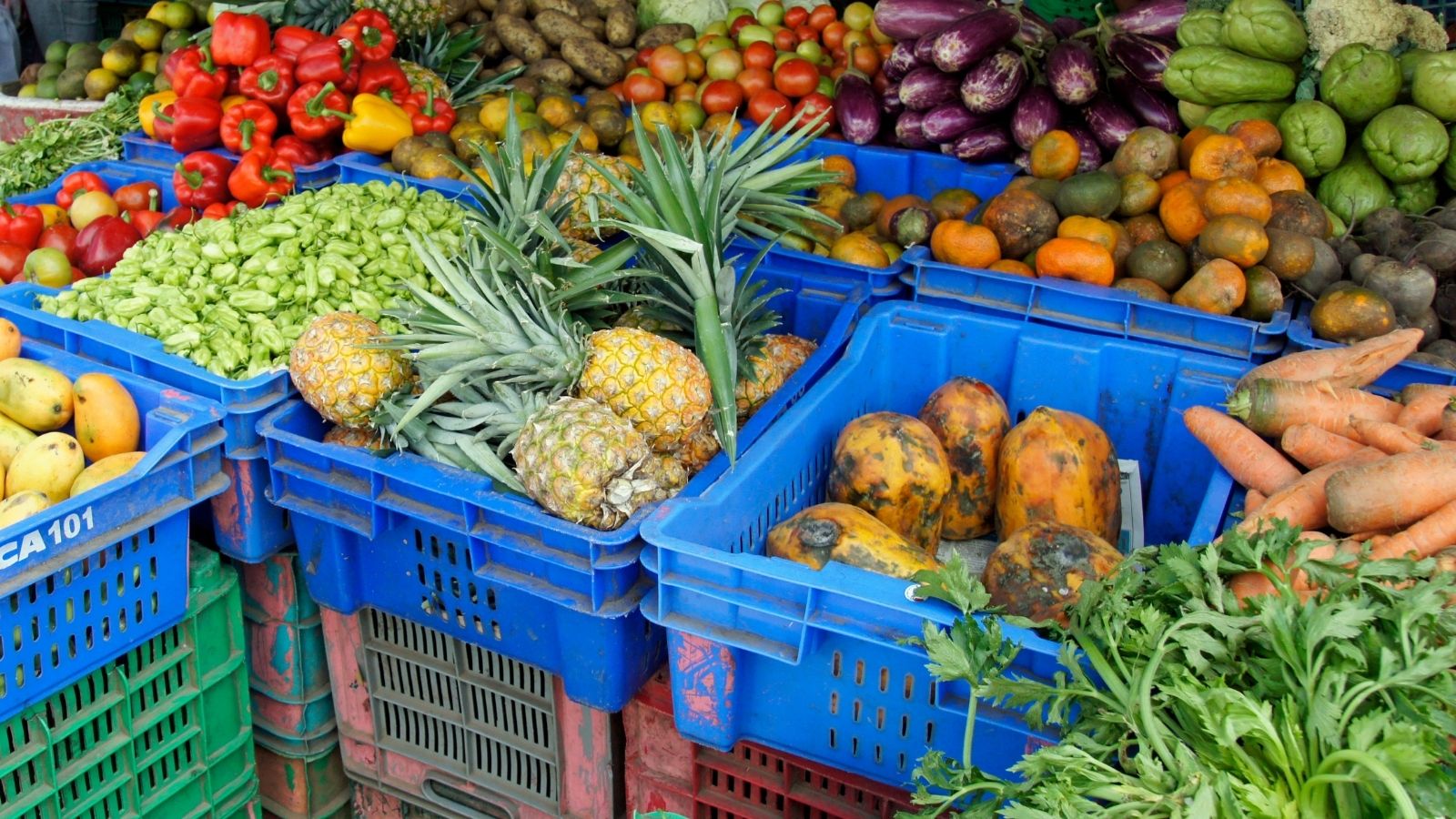 vendita diretta ortofrutta filiera corta consegna
