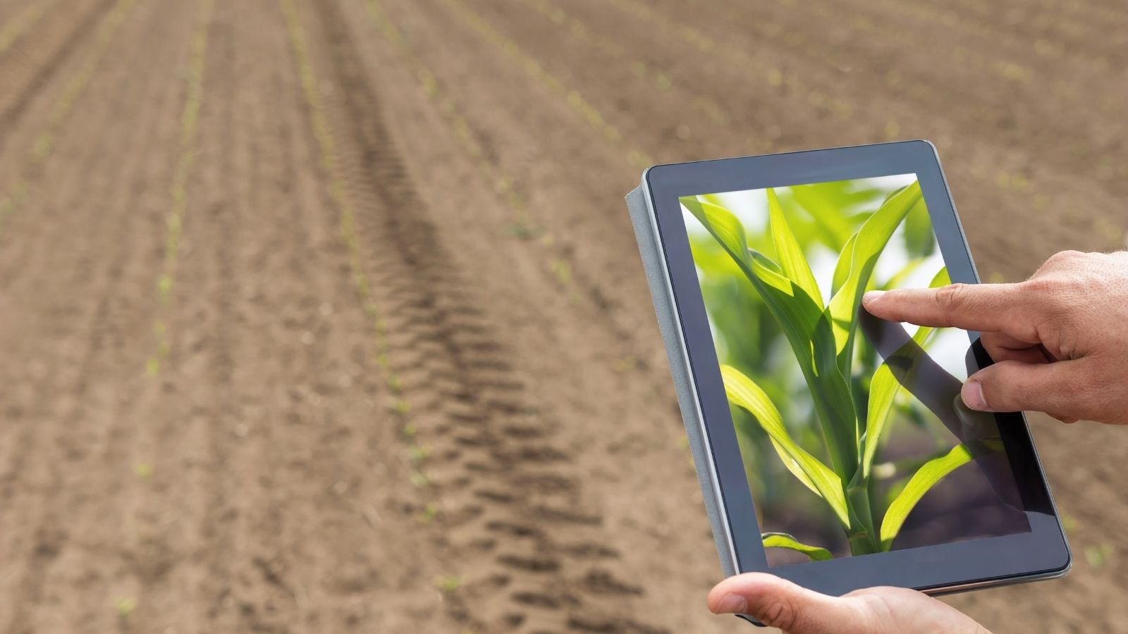 agricoltore tecnologia digitale agricoltura