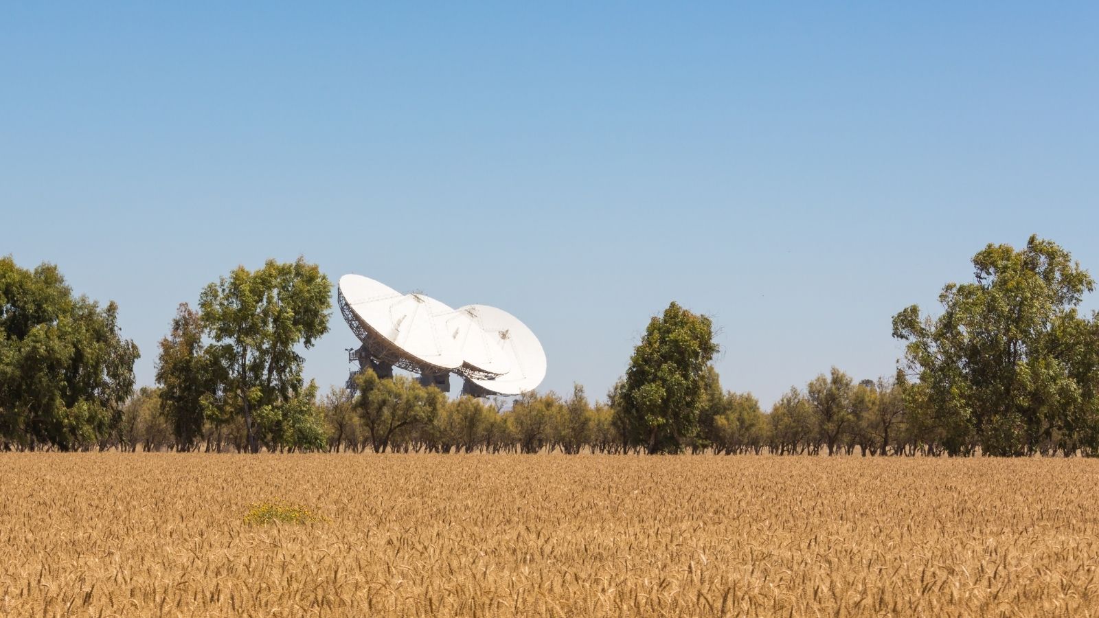 satellite orbita spazio tecnologia agricoltura precisione