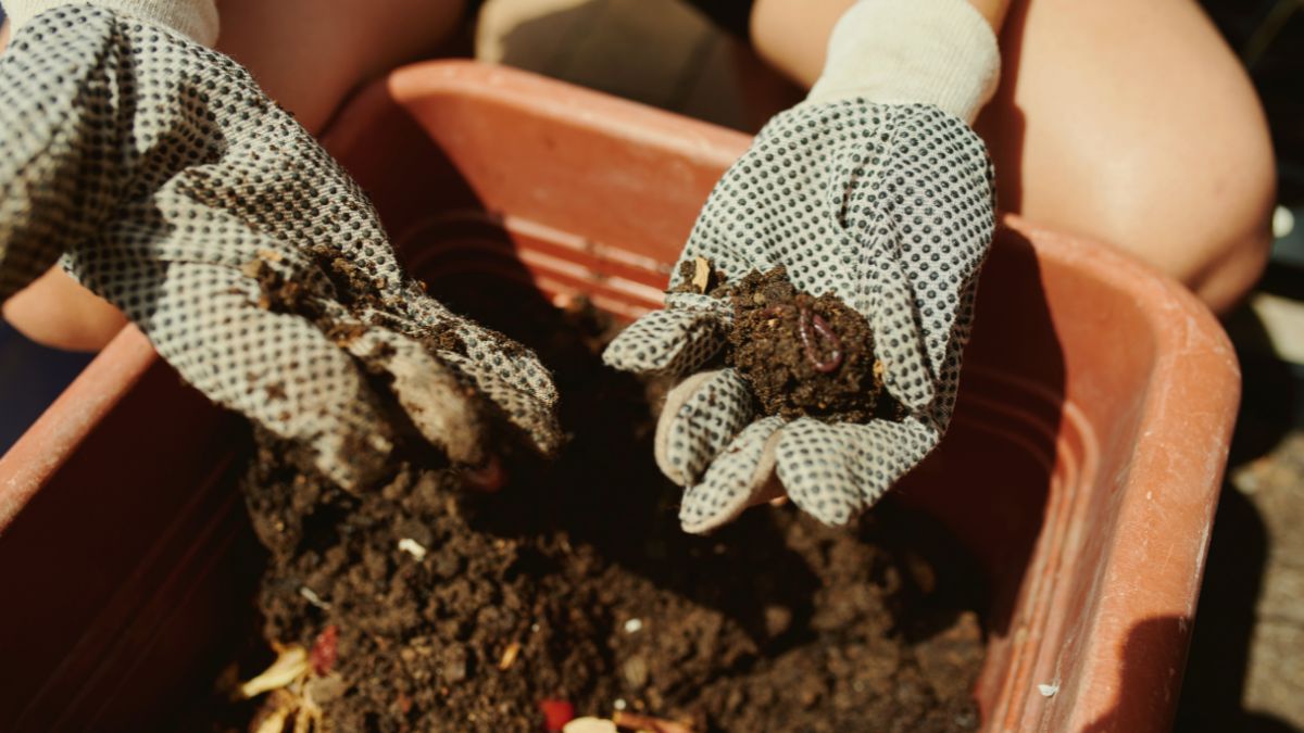 mani solidarietà adesioni appello agricoltura AIC Covid