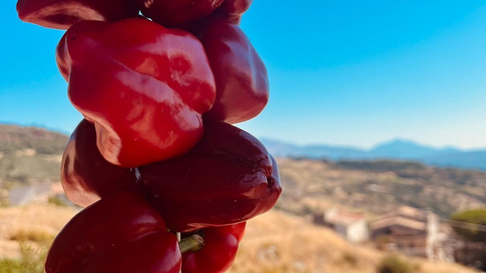 cucina peperoni