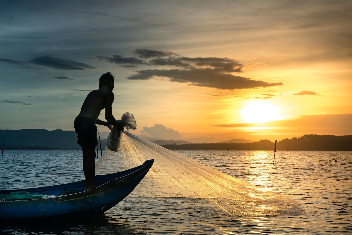 Sviluppo Pesca e Itticoltura